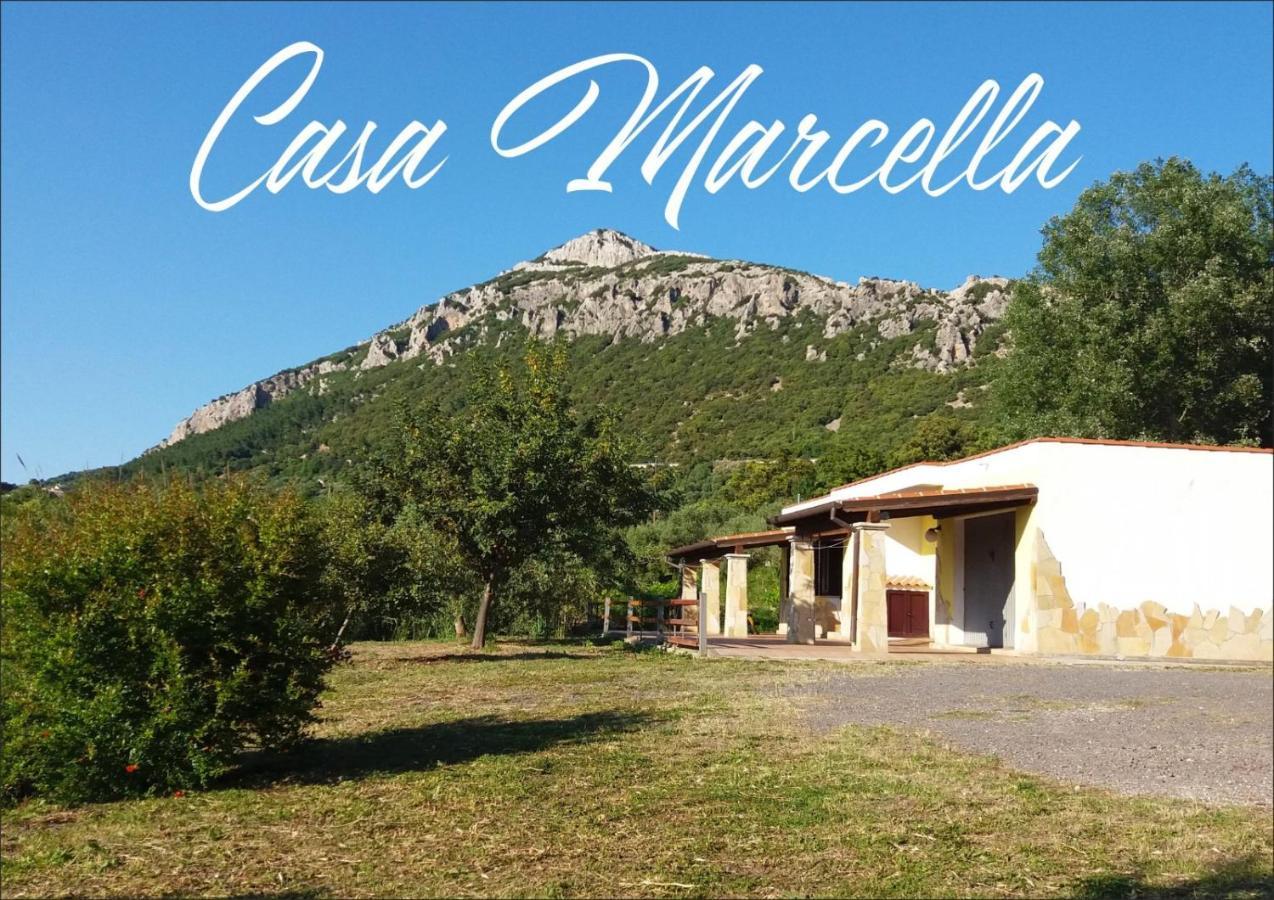 Casa Marcella Apartment Dorgali Exterior foto
