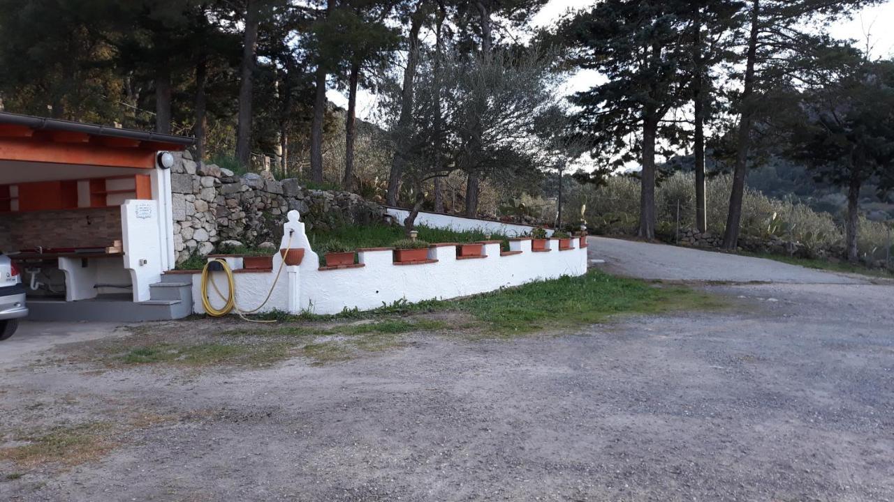 Casa Marcella Apartment Dorgali Exterior foto